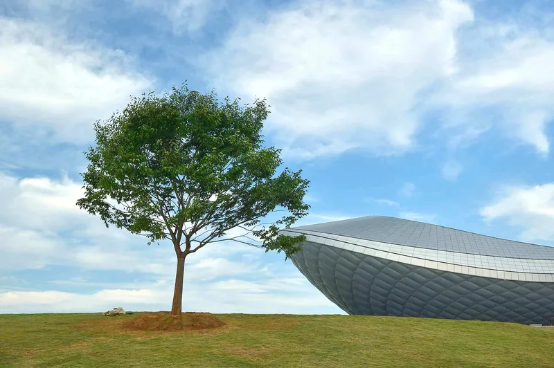 나무 아래 Under the tree